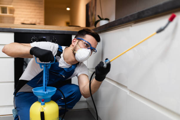 Best Rat Extermination Near Me  in Knightstown, IN