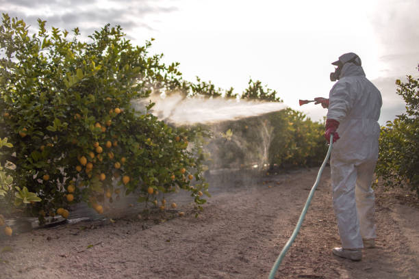 Best Ant Control Services  in Knightstown, IN