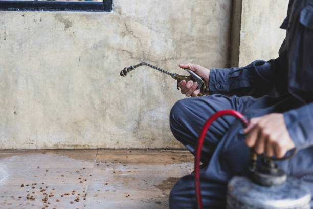Best Termite Control Services  in Knightstown, IN